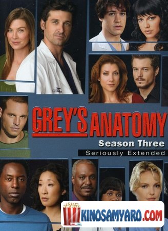 Greis Anatomia Sezoni 3 Qartulad / გრეის ანატომია სეზონი 3 / Grey`s Anatomy Season 3