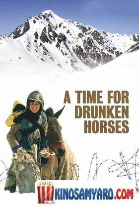 Mtvrali Cxenebis Dro Qartulad / მთვრალი ცხენების დრო (ქართულად) / A Time for Drunken Horses