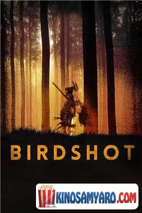 Safanti Qartulad / საფანტი (ქართულად) / Birdshot