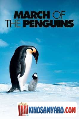 Saimperatoro Pingvinebis Marshi Qartulad / საიმპერატორო პინგვინების მარში (ქართულად) / March of the Penguins