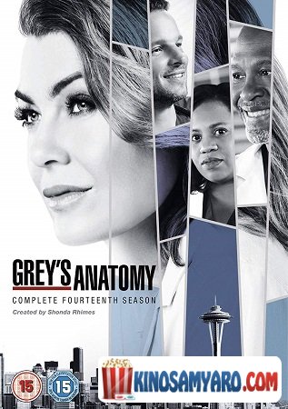 Greis Anatomia Sezoni 14 Qartulad / გრეის ანატომია სეზონი 14 / Grey`s Anatomy Season 14