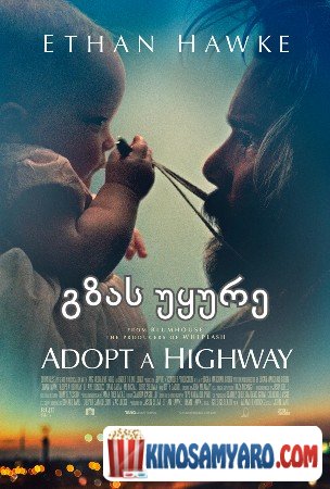 gzas uyure qartulad / გზას უყურე (ქართულად) / Adopt a Highway