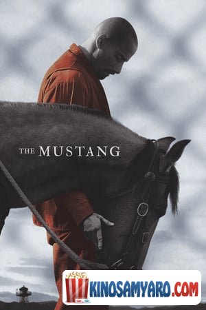 mustangi qartulad / მუსტანგი (ქართულად) /  The Mustang