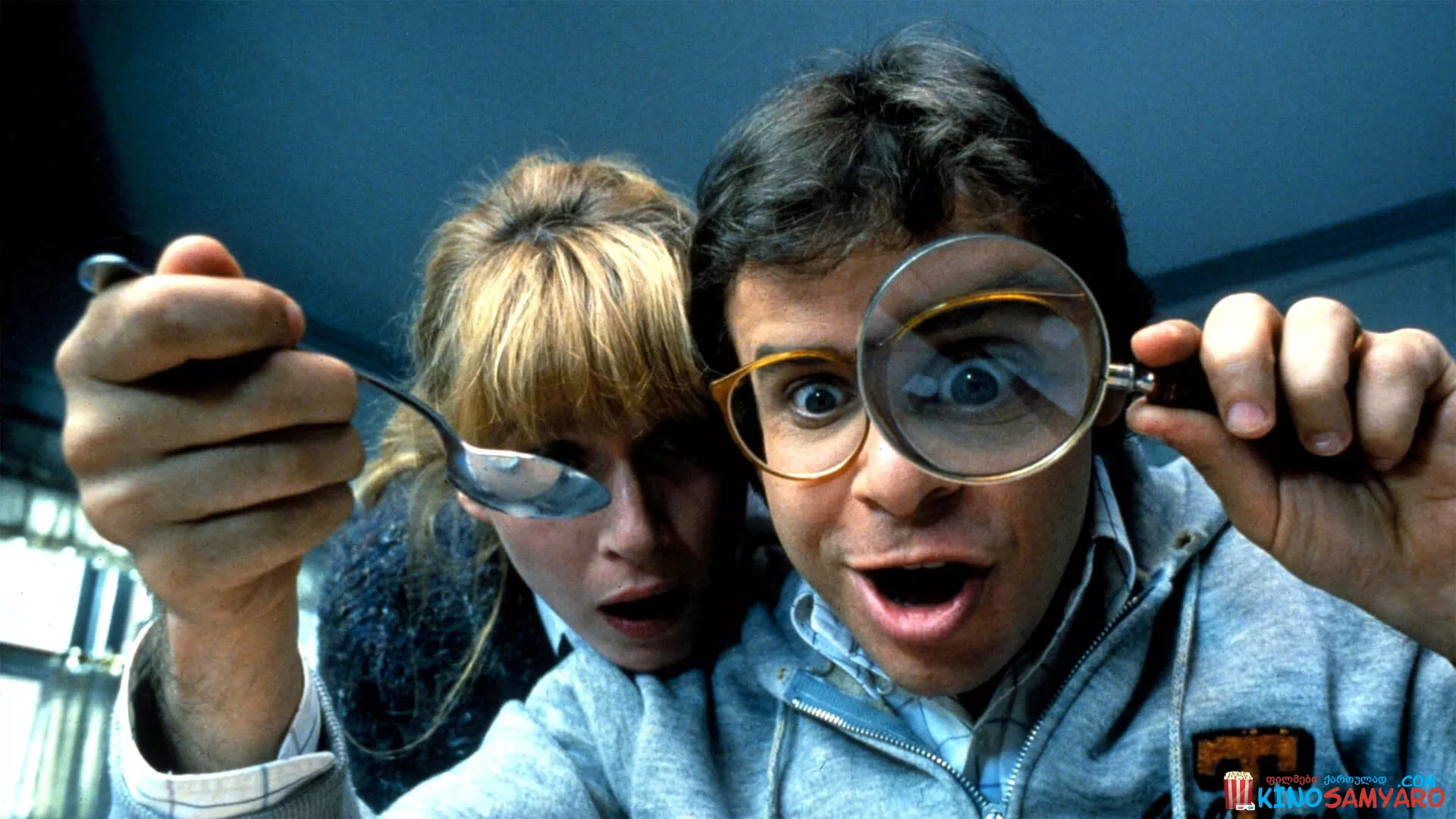 ძვირფასო, მე ბავშვები დავაპატარავე / Honey, I Shrunk the Kids